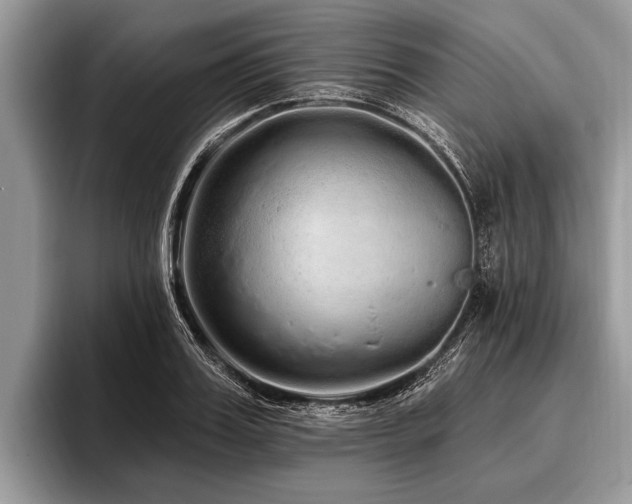 X0000096990987200802081424