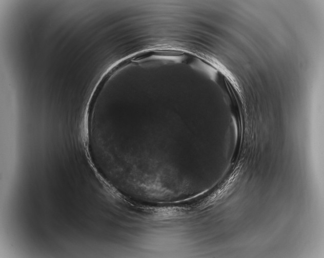 X0000096990988200802081424