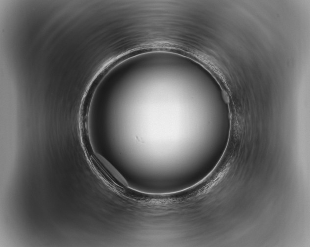 X0000096990989200802081424