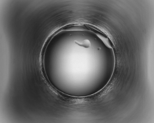 X0000096990990200802081424