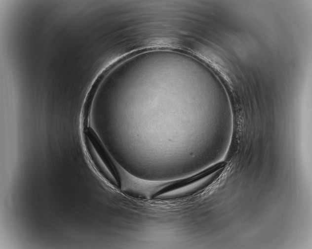 X0000096990991200802081424