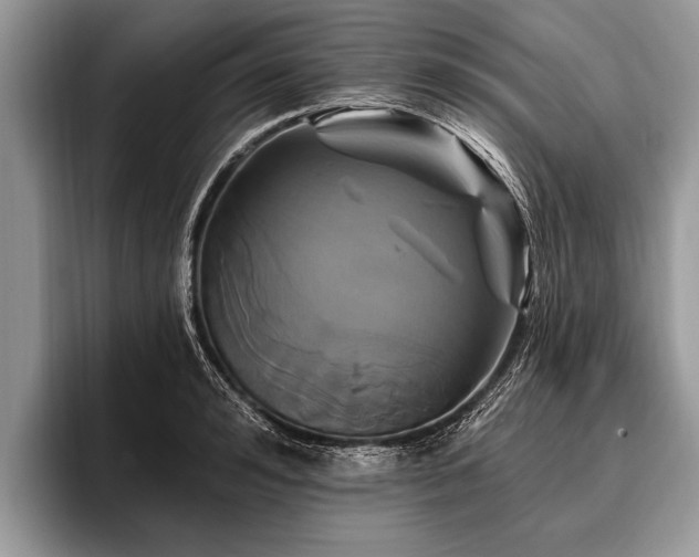 X0000096990992200802081424