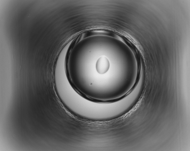 X0000096990993200802081424