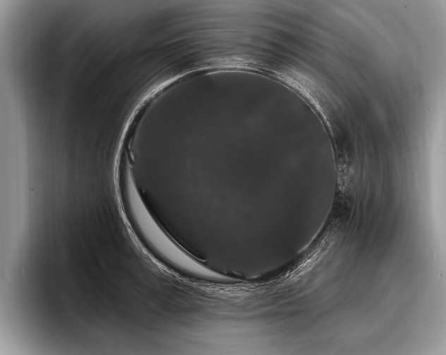 X0000096990995200802081424