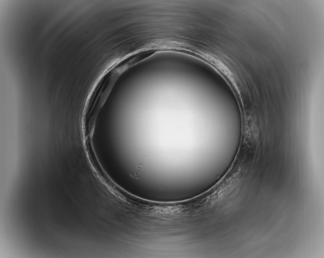 X0000096990997200802081424