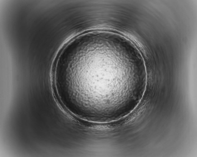 X0000096990998200802081424