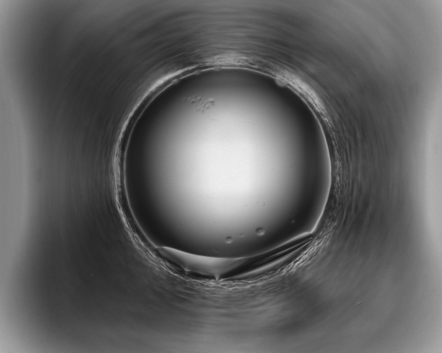 X0000096991000200802081424