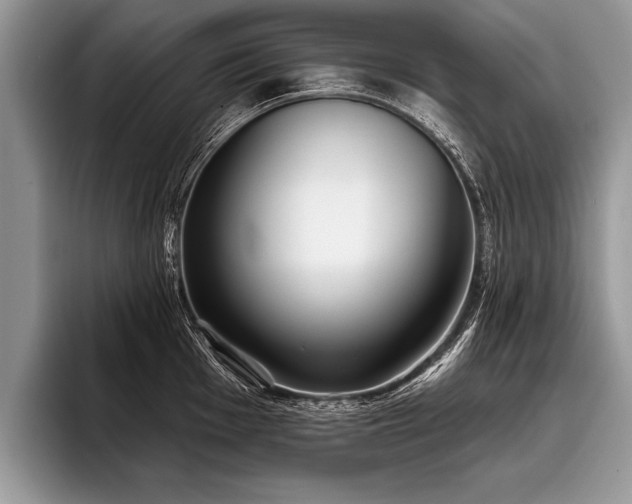 X0000096991001200802081424
