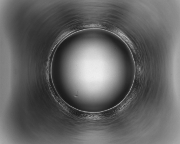 X0000096991002200802081424