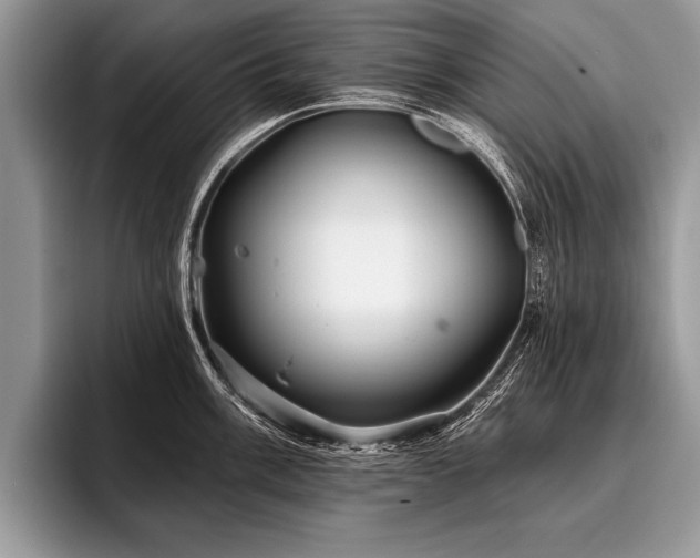 X0000096991003200802081424