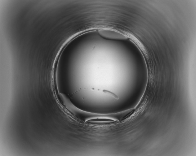 X0000096991004200802081424