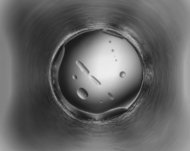 X0000096991005200802081424