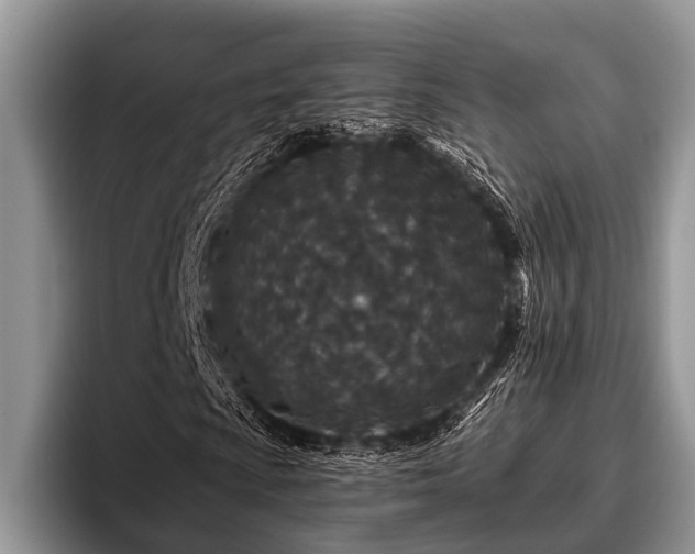 X0000096991009200802081423