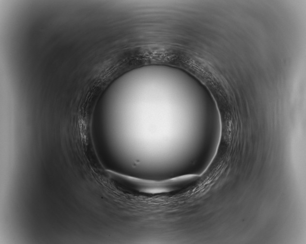 X0000096991010200802081423