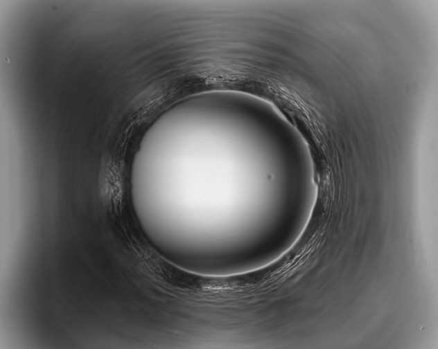 X0000096991012200802081423