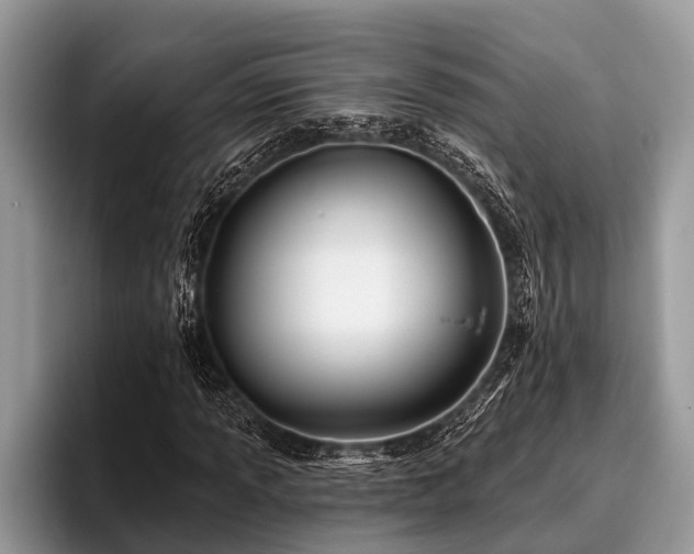 X0000096991013200802081423