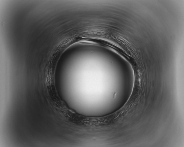 X0000096991014200802081423