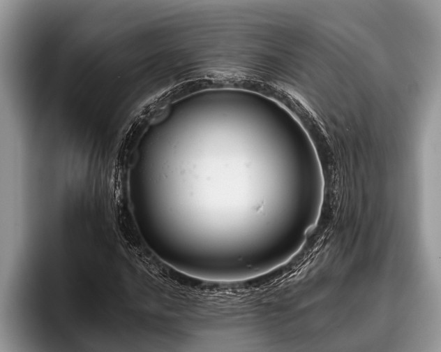 X0000096991016200802081423