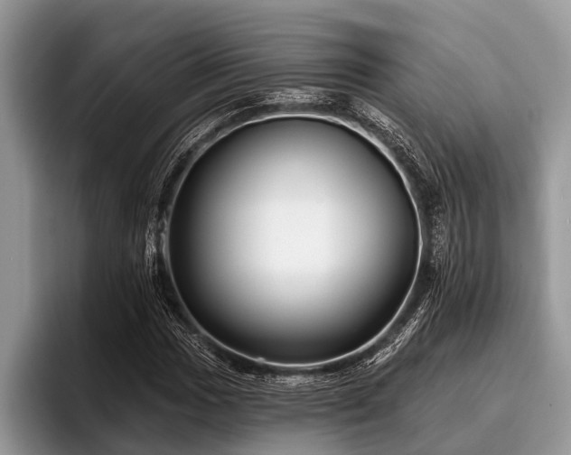 X0000096991017200802081423