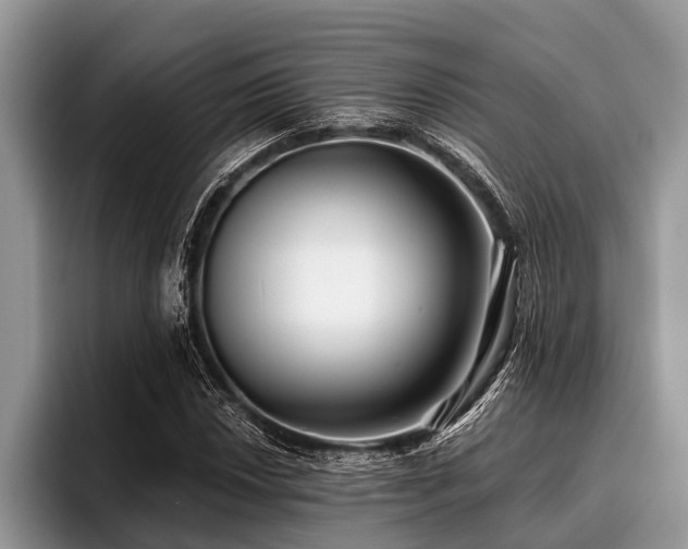X0000096991018200802081423