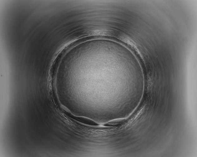 X0000096991019200802081423