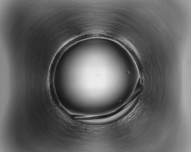 X0000096991020200802081423