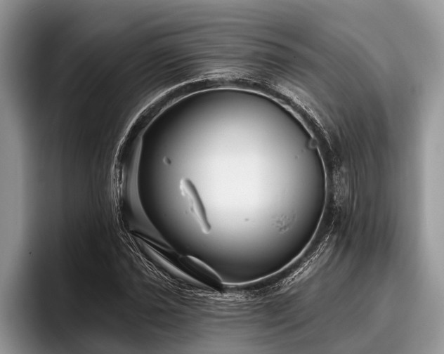 X0000096991021200802081423