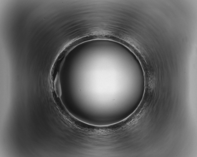 X0000096991022200802081423