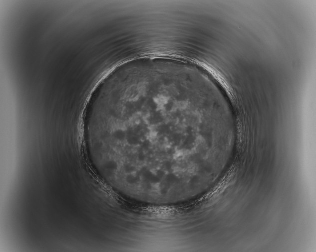 X0000096991023200802081423