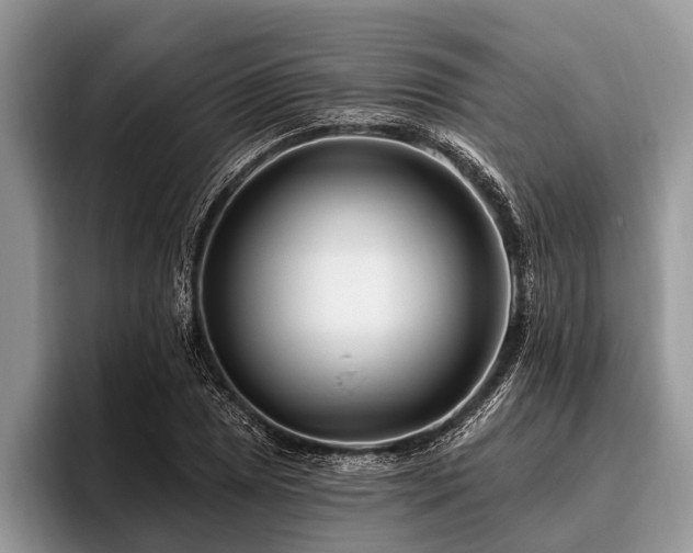 X0000096991025200802081423