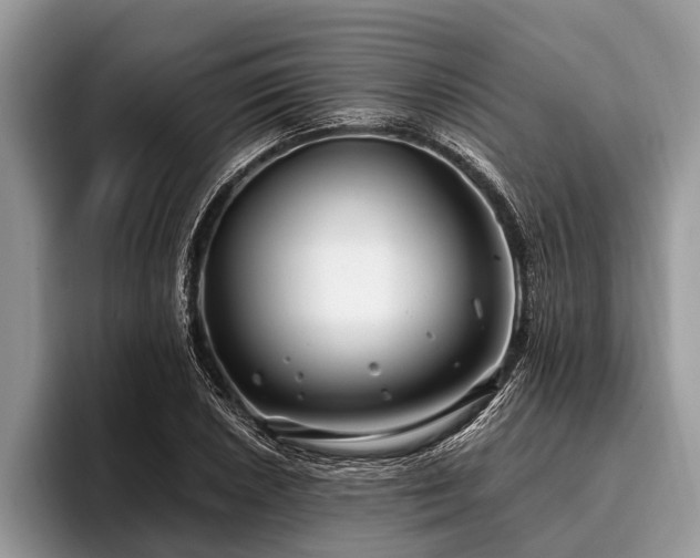 X0000096991026200802081423
