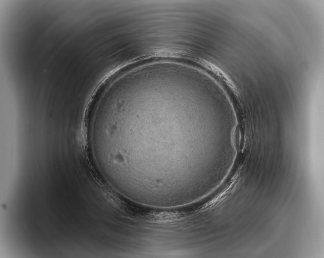 X0000096991027200802081423