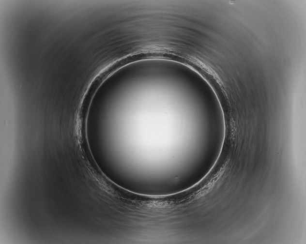 X0000096991029200802081423