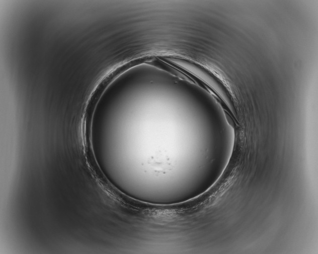 X0000096991030200802081423
