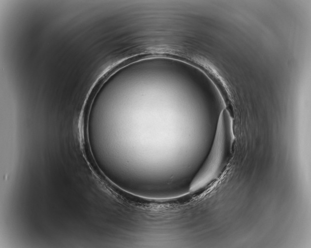 X0000096991032200802081423