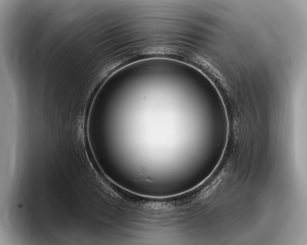 X0000096991033200802081423