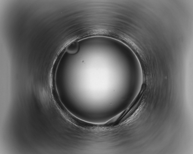 X0000096991034200802081423