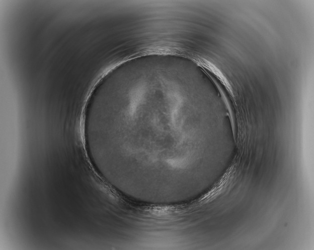 X0000096991035200802081423