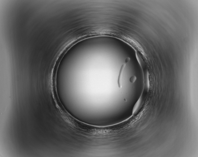 X0000096991039200802081424