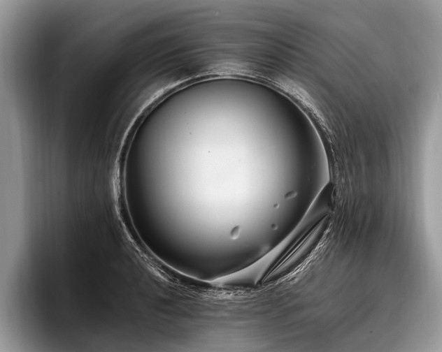 X0000096991040200802081424