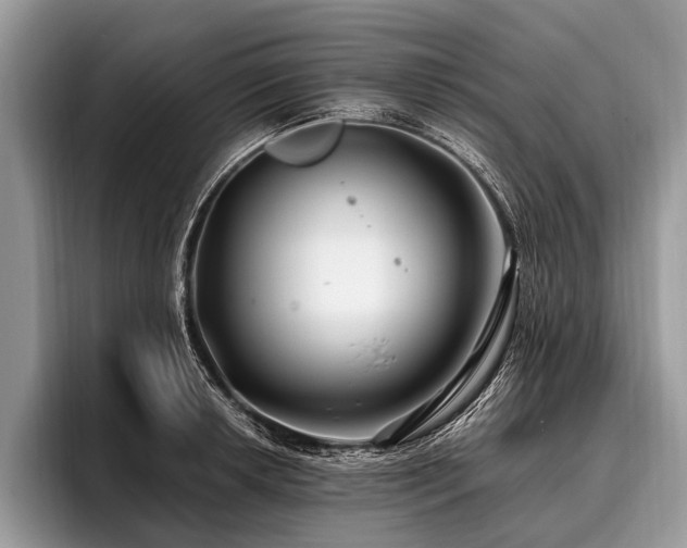 X0000096991042200802081424