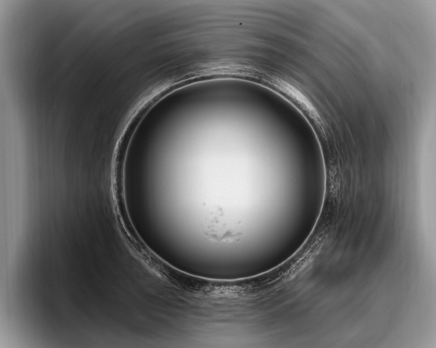 X0000096991043200802081424