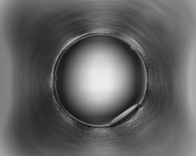 X0000096991044200802081424
