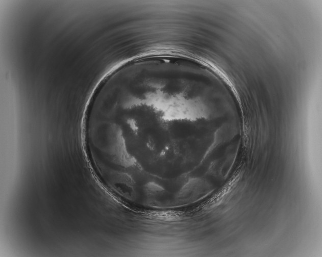 X0000096991045200802081424