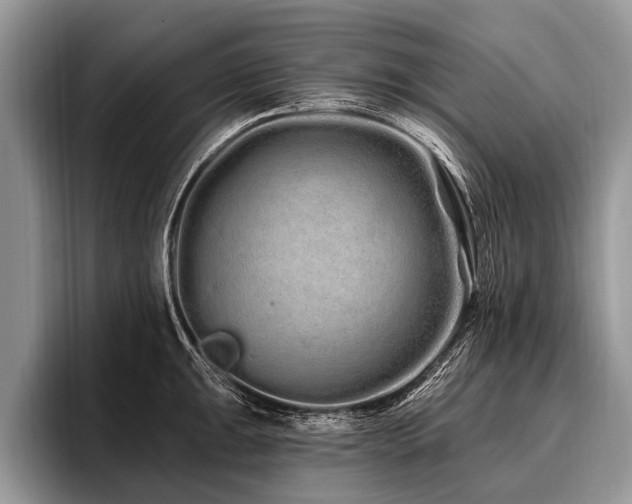 X0000096991047200802081424