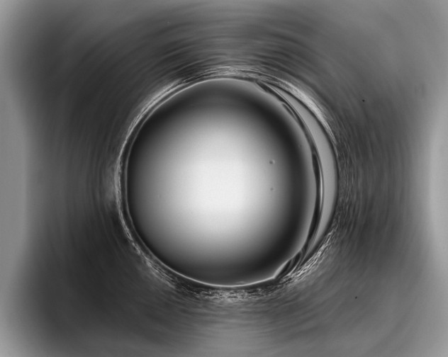 X0000096991050200802081424