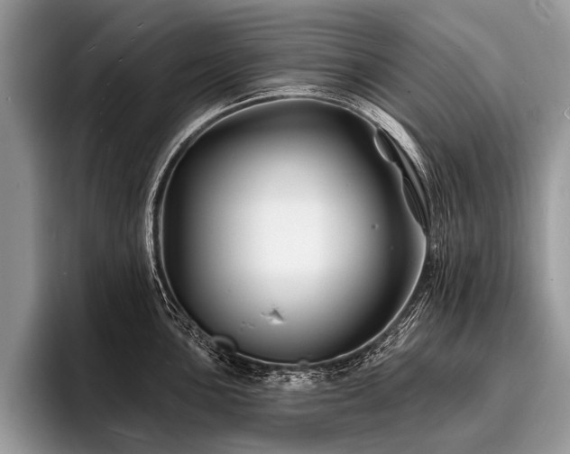 X0000096991051200802081424
