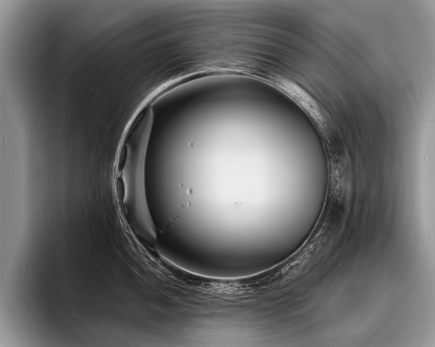 X0000096991052200802081424