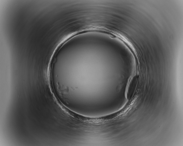 X0000096991053200802081424