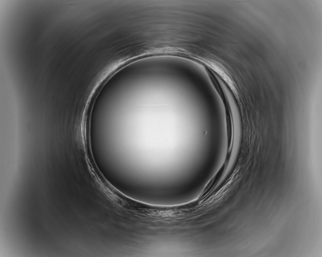 X0000096991054200802081424